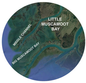 where is muscamoot bay