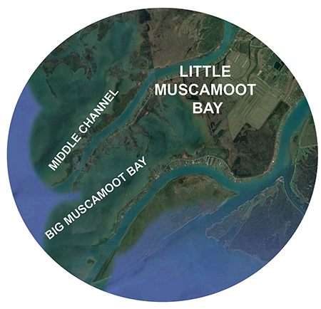 where is muscamoot bay