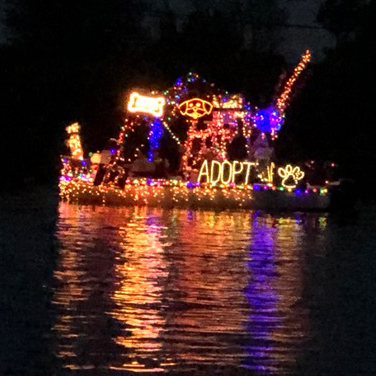 clinton river parade of lights