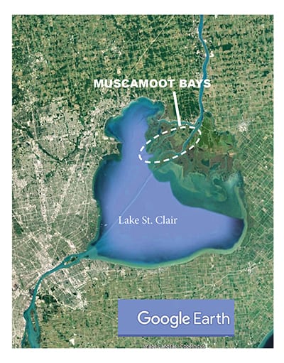 raft off location muscamoot bays lake st. clair