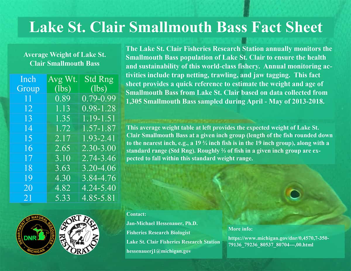 chart weight of smallmouth based on length