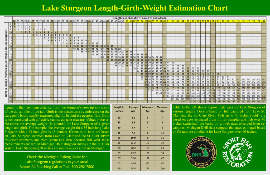 chart to estimate sturgeon weight from length