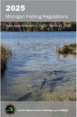 2025 michigan fishing regulations rules