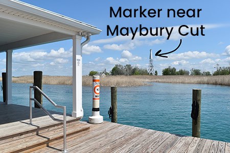 Maybury Cut Marker