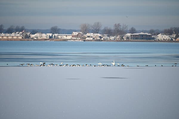 Lake St. Clair Ice Update December 2 2025